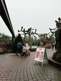 Every Euro Worth the Magic at Europa Park! 🇩🇪