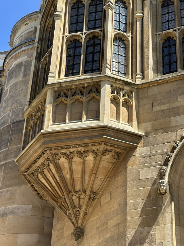 🌿 Did you know Cambridge has a hidden side beyond the famous colleges?