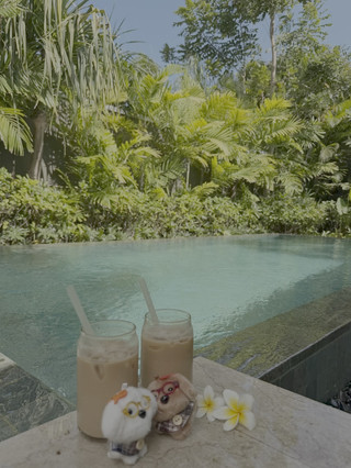 🌴 I found a villa in Bali with the perfect balance of price and beauty—and right next to the busiest area!
