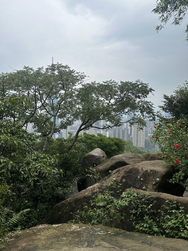 Hiking in Taipei💚🌿🌱