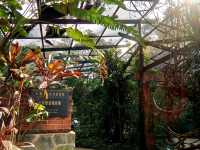 【世界之最系列】世界上最大的南亞熱帶植物園