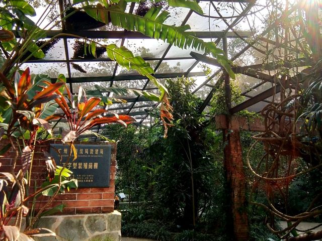 【世界之最系列】世界上最大的南亞熱帶植物園
