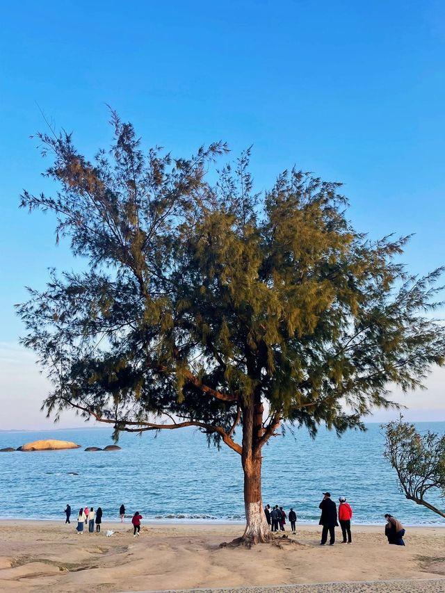 Don't just go to Gulangyu when you come to Xiamen! There are also many other scenic spots here.
