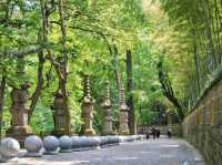 Discover Serenity Amidst Ancient Splendor🇨🇳