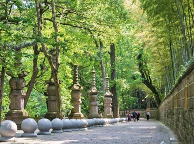 Discover Serenity Amidst Ancient Splendor🇨🇳