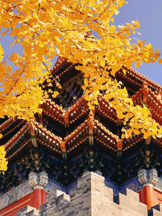 Autumn scenery of the Forbidden City: Exploring the autumn charm of the Forbidden City