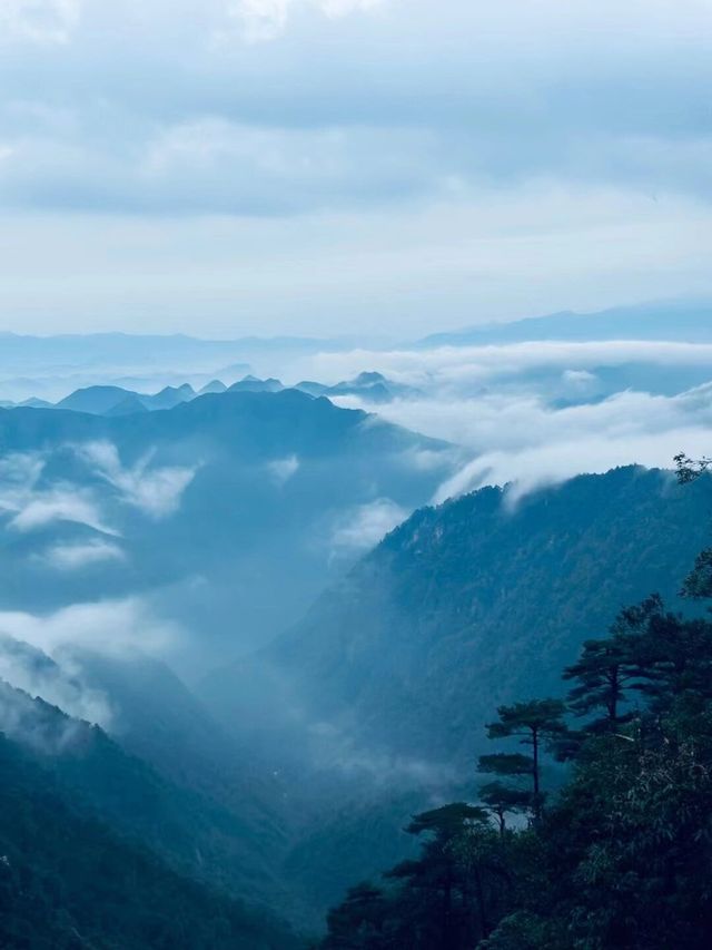 莽山一座讓我輕鬆爬完的山|||郴州莽山五指峰