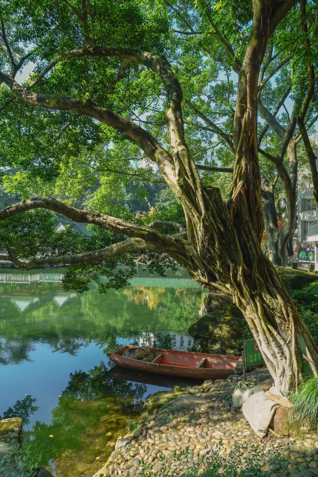 Chongqing also has the misty rain of the south of the Yangtze River