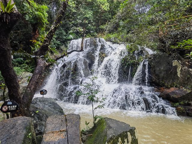 呀諾達熱帶雨林