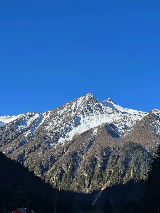 Sichuan Dagu Glacier| is a snowy wonderland created by the blue sky and glaciers