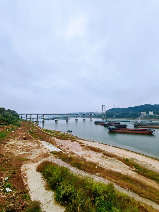 梧州鴛江麗港