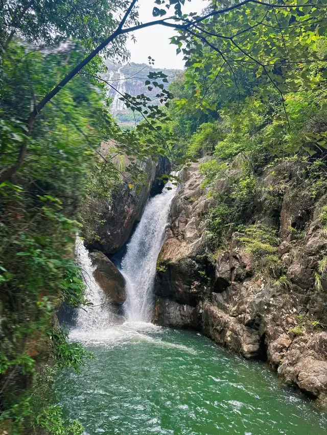 我又又又逃離城市，去大自然吸氧了