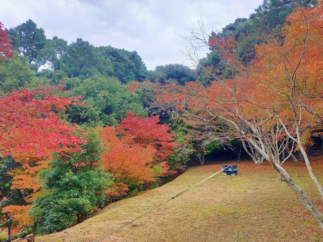 島根濱田|兩天一夜的治癒之旅