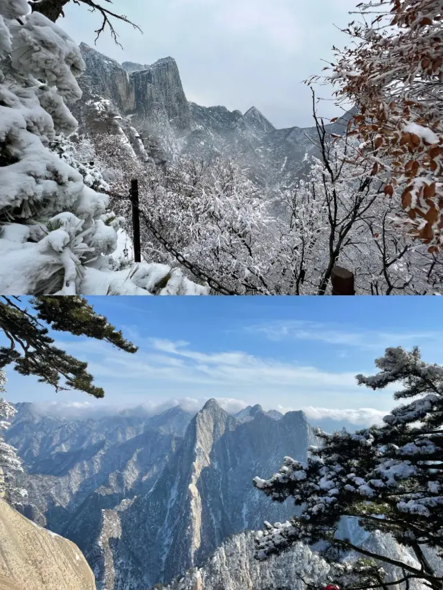 Mount Hua is free now! | Winter nanny-level guide, keep it well