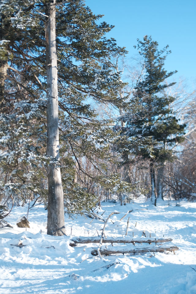 滑雪新手小白保姆級北大湖滑雪場我來啦