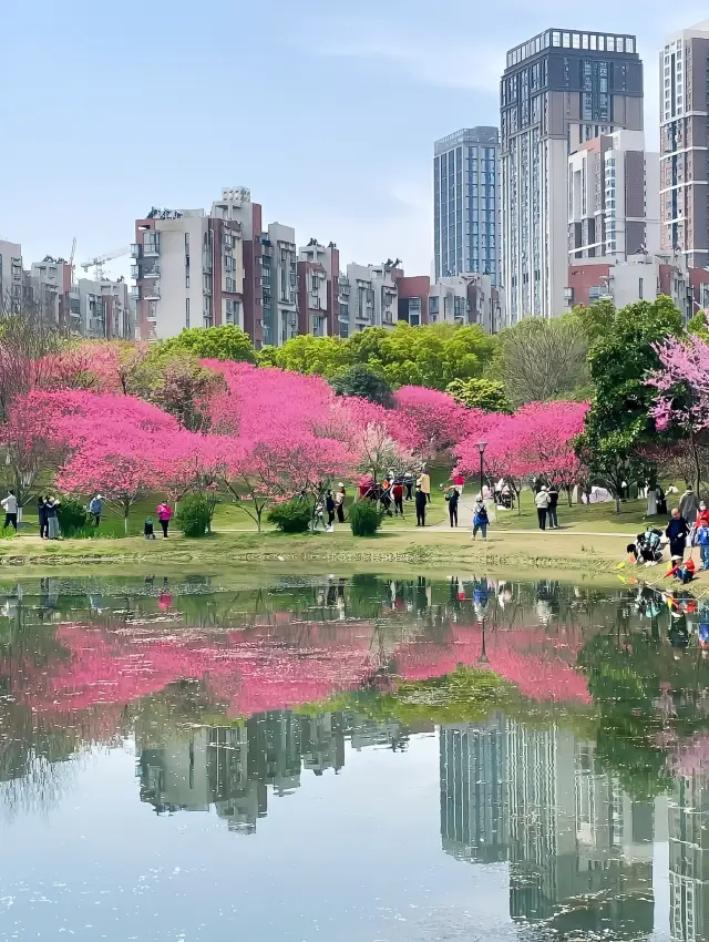 부산 비주얼 공원 | 사람들이 적고 경치가 아름답습니다! 고요한 풍경이 가득합니다!