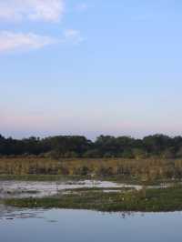 Yala National Park, Sri Lanka🇱🇰🐆