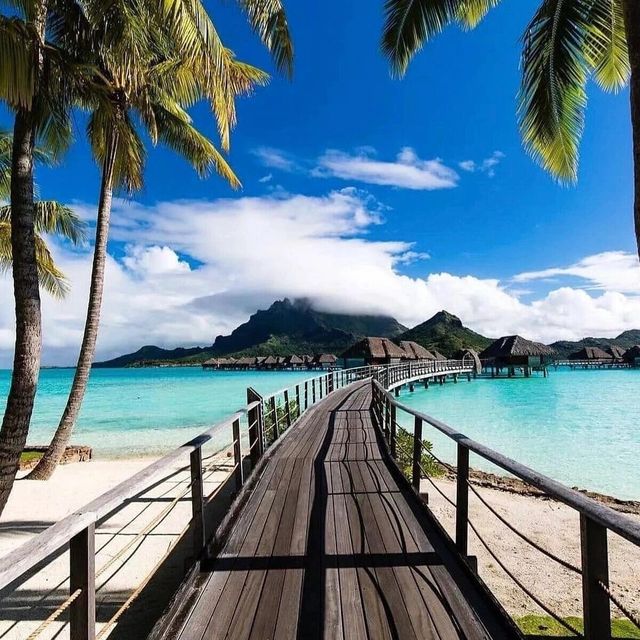 這片海🌊真的太美了