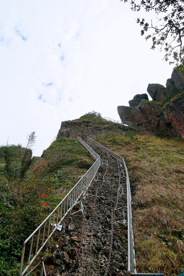 冬季到海南來看山，徒步行走在熱帶雨林