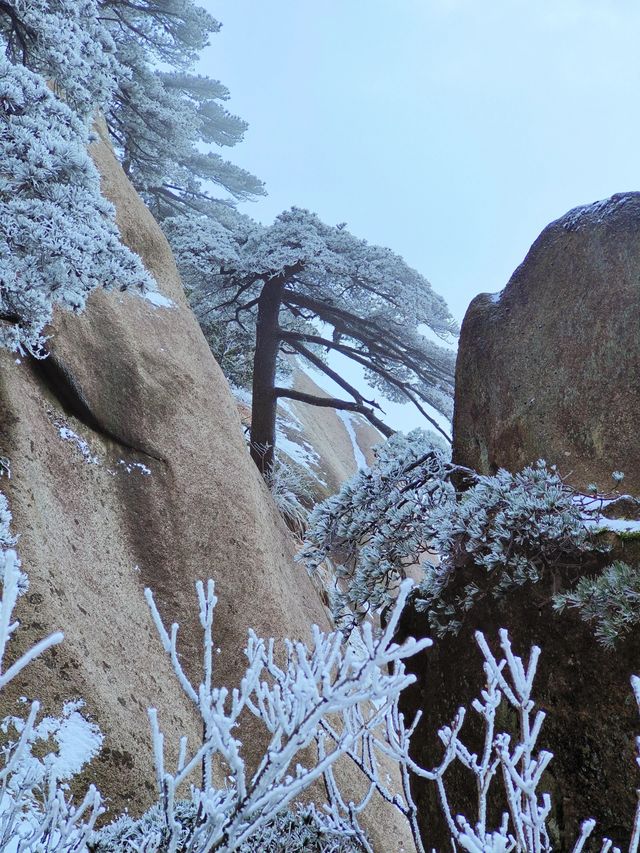 雪後天柱山宛若寫意山水畫！雪天攻略來啦！