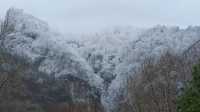 寶雞青峰峽走起，雪景美滴很美滴很