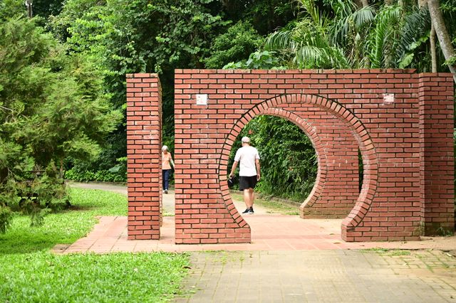 城市裡的森林公園