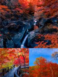 賞秋！不可錯過的美景！吉林•紅葉谷攻略！奉上！