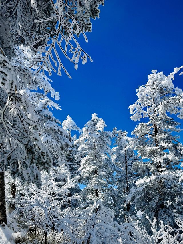 冬天的西嶺雪山，去一次後悔一次