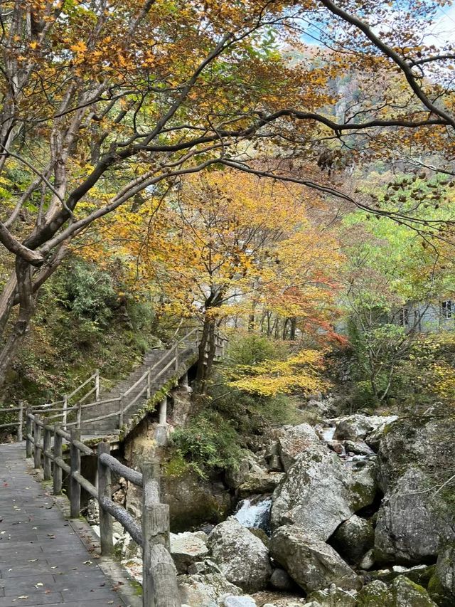 不如一起去徒山 | 牛背梁一日遊