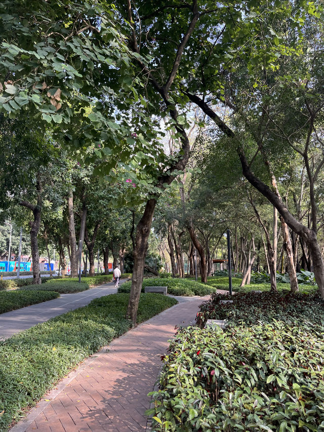 深圳Citywalk：福榮綠道