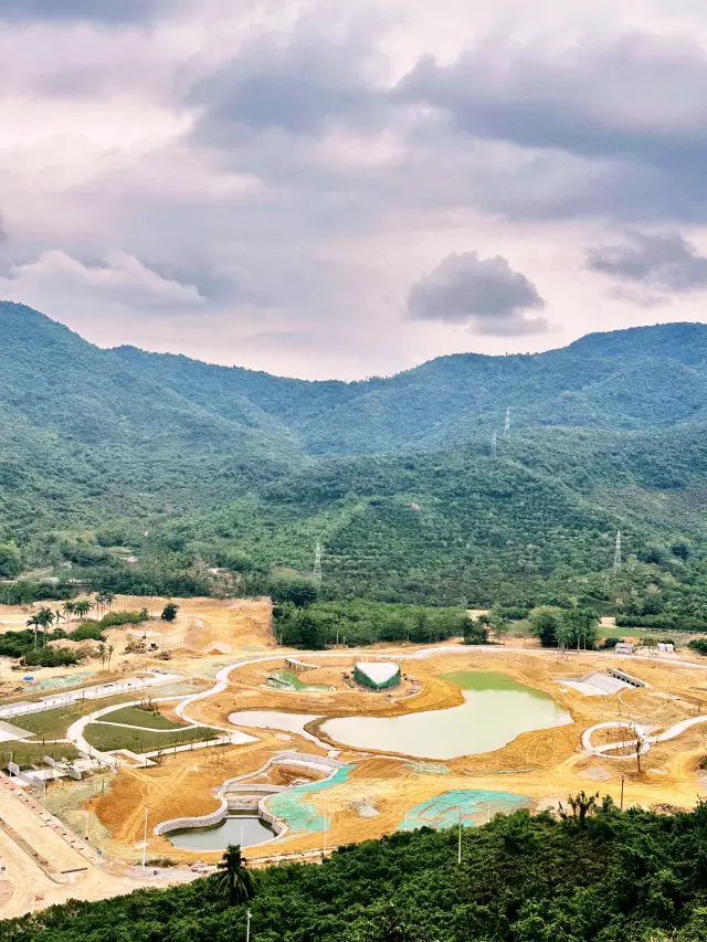 Dragon Year New Year｜Sanya Linchunling Forest Park Mountain Trail