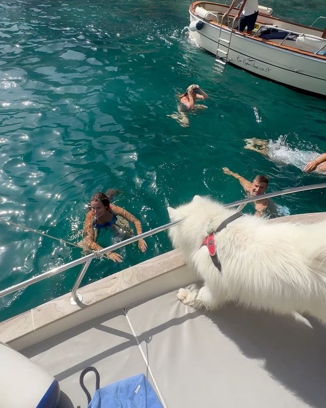 🐻⛵️ Polar Bear on a Boat: A Captivating Adventure in Capri 💛💙