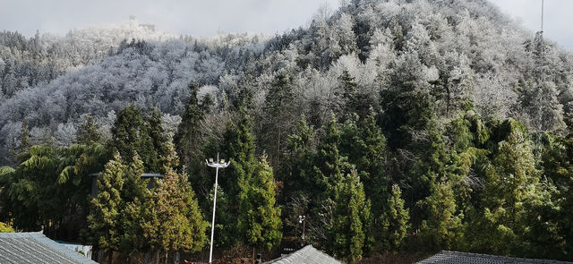 總要和最好的朋友一起去一趟張家界國家森林公園天門山吧