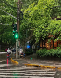 Shanghai travel tips