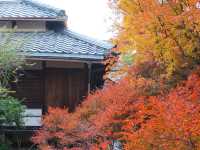 打卡京都寶筐院