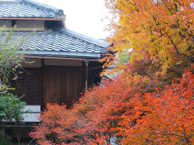 打卡京都寶筐院