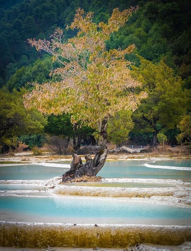 白水台——香格里拉的納西聖地，中國最大的泉水台地之一