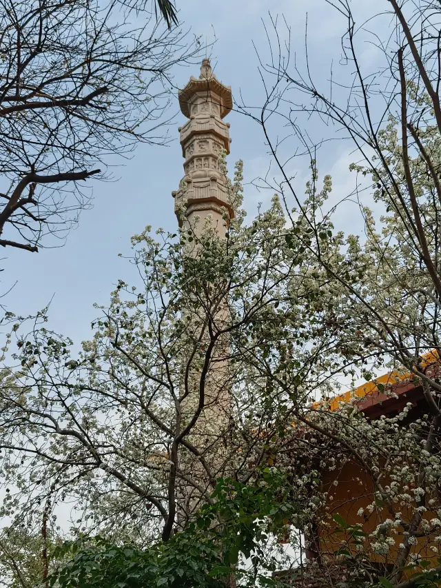 The Zen temple is filled with the sounds of birds and the fragrance of flowers