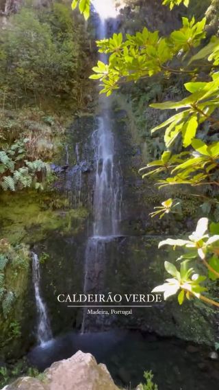 Levada do Caldeirão Verde: A Scenic Journey Into the Heart of São Jorge Valley! 🌿💦
