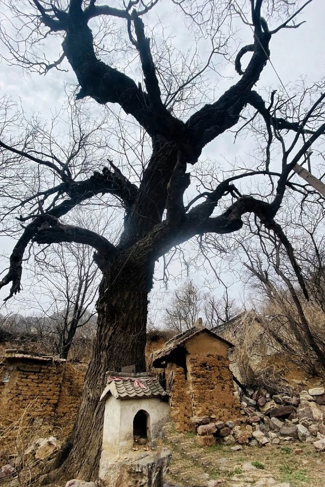 鄭州免費遊玩寶藏景點——千米一觀