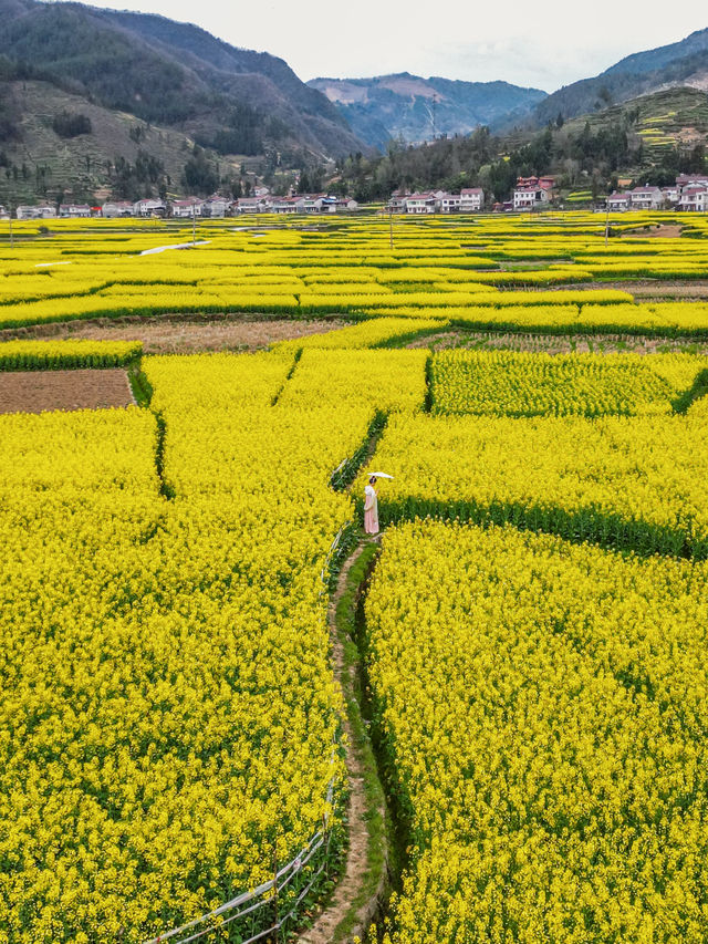 西安周邊遊漢中鎮巴“小江南”1日追花攻略！