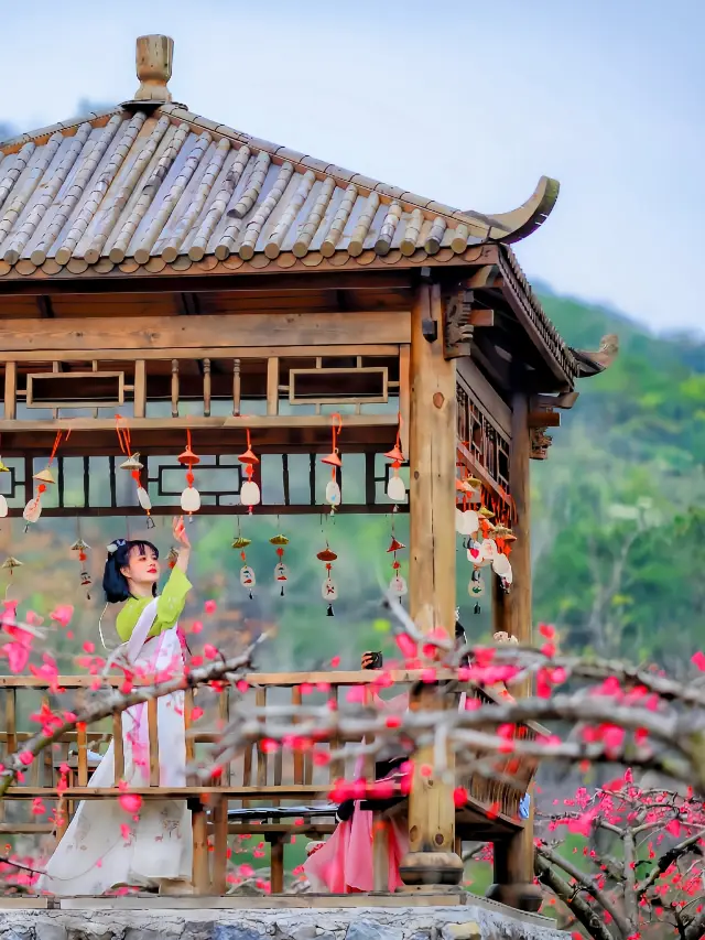 Spring Limited - Lianzhou Peach Blossoms in March