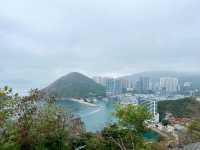 不去迪斯尼人擠人，香港海洋公園的性價比就穩贏了