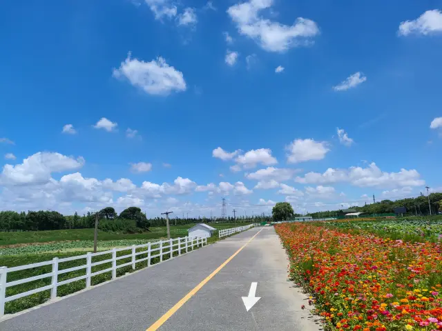 Take a trip to the countryside on a summer weekend - Qingxi Country Park