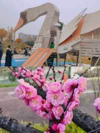 成都免費遛娃好去處桂溪生態公園西區