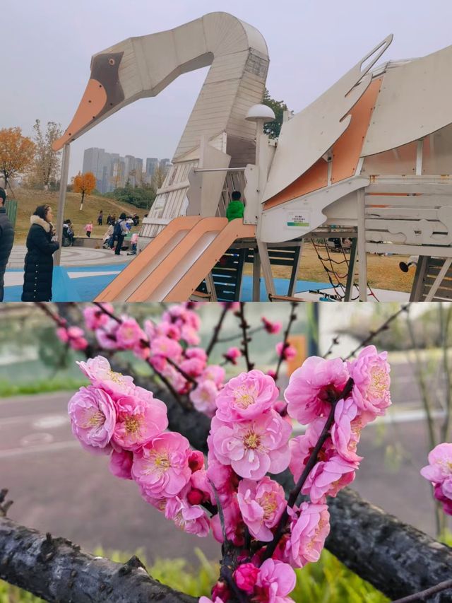 成都免費遛娃好去處桂溪生態公園西區