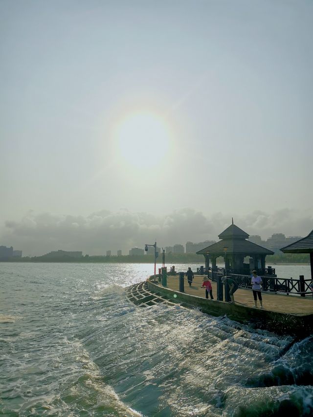 逸龍灣海上圖書館看日出