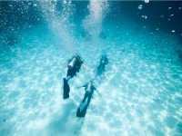 探秘皇帝島（普吉島）潛水：沉醉於海底的奇幻世界