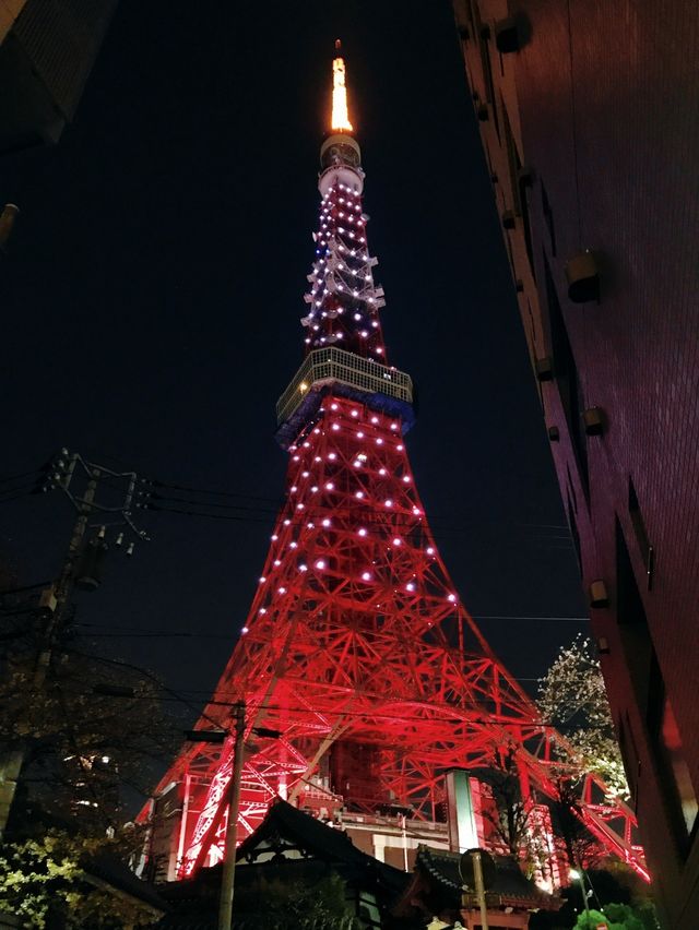 東京的艾菲爾鐵塔 360度觀東京全景 日本必遊景點