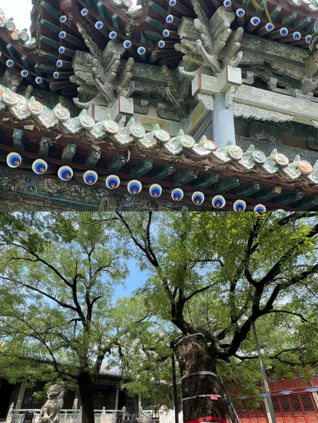 沉迷中國古建築之美 | 聊城山陝會館